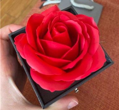 3D Enchanted Rose Ring Box