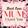 Message card -Best Ever Mum