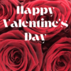 Valentine's - Happy Valentine's - Red Roses